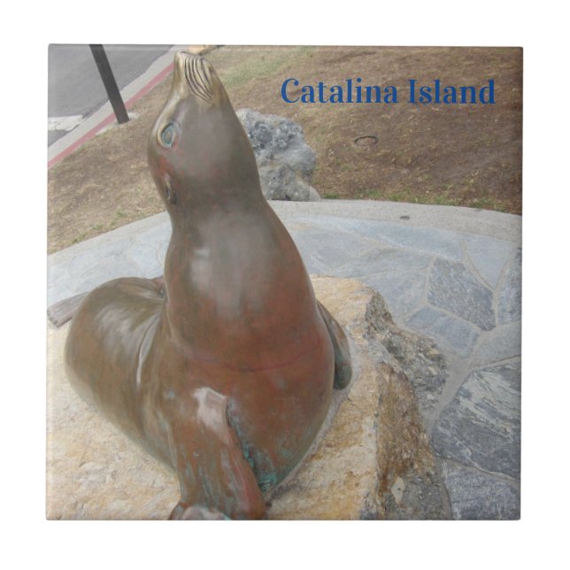 AZULEJO DE CERÂMICA  CATALINA ISLAND CERAMIC TILE THE BEN (Frente)