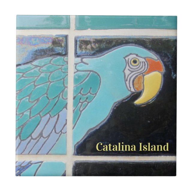 AZULEJO DE CERÂMICA  CATALINA ISLAND CERAMIC TILE THE LOOK (Frente)