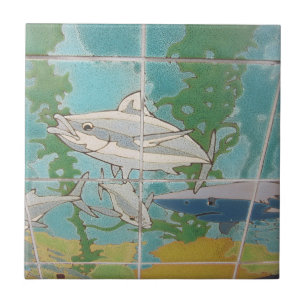 AZULEJO DE CERÂMICA CATALINA ISLAND CERÂMICA AZULEJO DA VIZINHANÇA