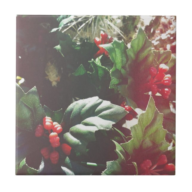 Azulejo De Cerâmica Catctus natalino (Frente)