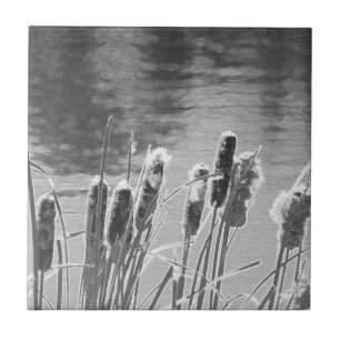 Azulejo De Cerâmica Cattails por Pond em preto e branco