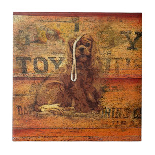 Azulejo De Cerâmica Cavaleiro Rei Charles Spaniel