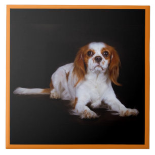 Azulejo De Cerâmica Cavaleiro Rei Charles Spaniel, Pet Love, KEEPSAKE