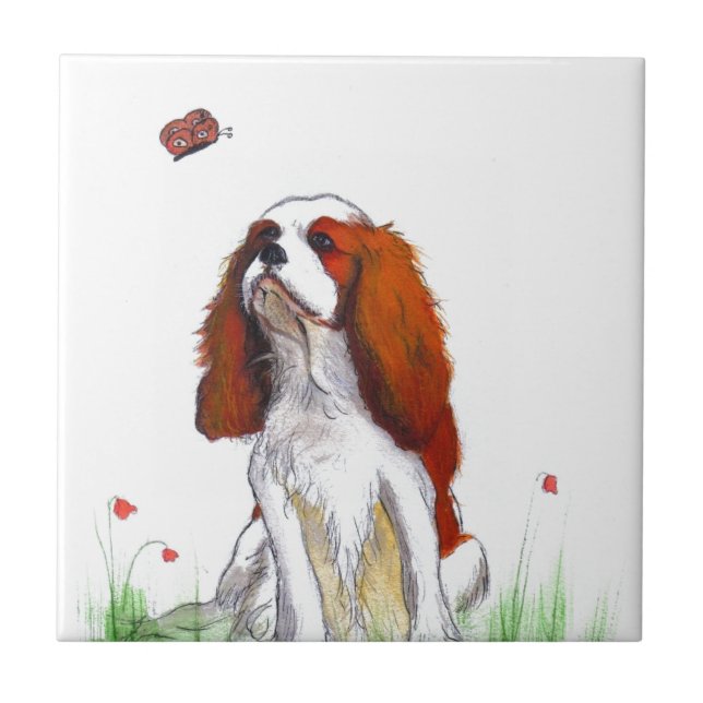 Azulejo De Cerâmica Cavalier King Charles Spaniel CKC (Frente)