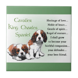 Azulejo De Cerâmica Cavalier King Charles Spaniel Heritage of Love