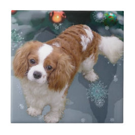 Azulejo De Cerâmica Cavalier King Charles Spaniel Natal