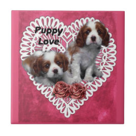 Azulejo De Cerâmica Cavalier King Charles Spaniel Puppy Love