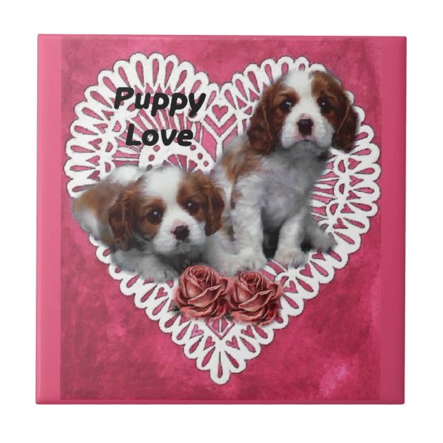 Azulejo De Cerâmica Cavalier King Charles Spaniel Puppy Love (Frente)
