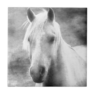 Azulejo De Cerâmica Cavalo