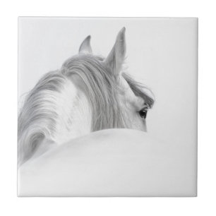 Azulejo De Cerâmica Cavalo