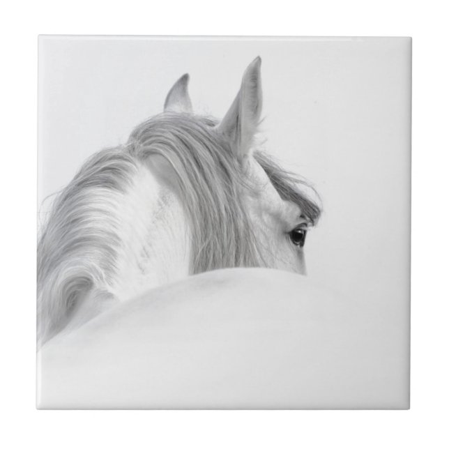 Azulejo De Cerâmica Cavalo (Frente)