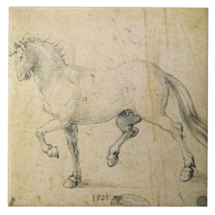 Azulejo De Cerâmica Cavalo, 1503 (caneta e tinta no papel)