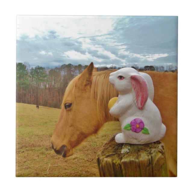 Azulejo De Cerâmica Cavalo Amarelo, Coelho Primavera (Frente)