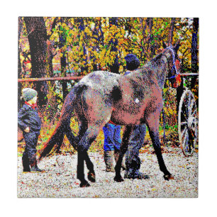 Azulejo De Cerâmica Cavalo Amish Novo de 8 bits