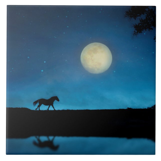 Azulejo De Cerâmica Cavalo bonito e Lua com Céu Azul (Frente)