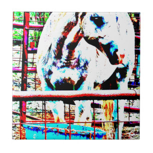 Azulejo De Cerâmica Cavalo branco