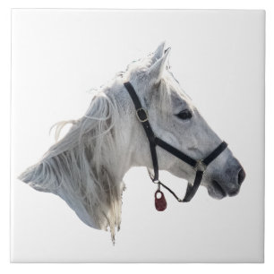 Azulejo De Cerâmica Cavalo Branco