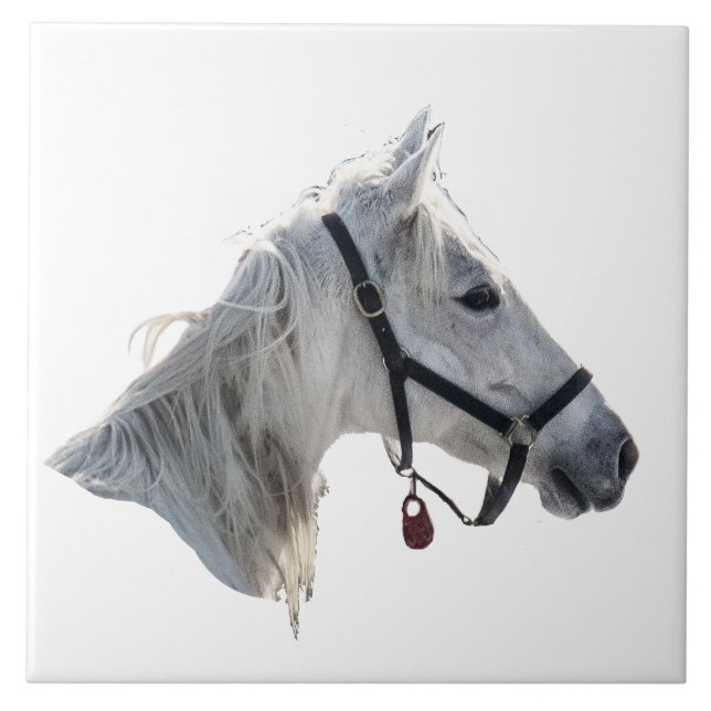Azulejo De Cerâmica Cavalo Branco (Frente)