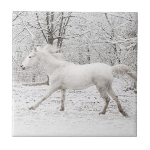Azulejo De Cerâmica Cavalo branco galopante na neve