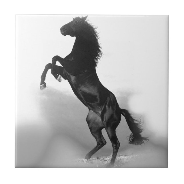 Azulejo De Cerâmica Cavalo Branco Negro (Frente)