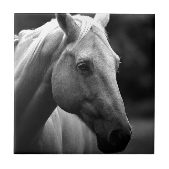 Azulejo De Cerâmica Cavalo Branco Negro (Frente)