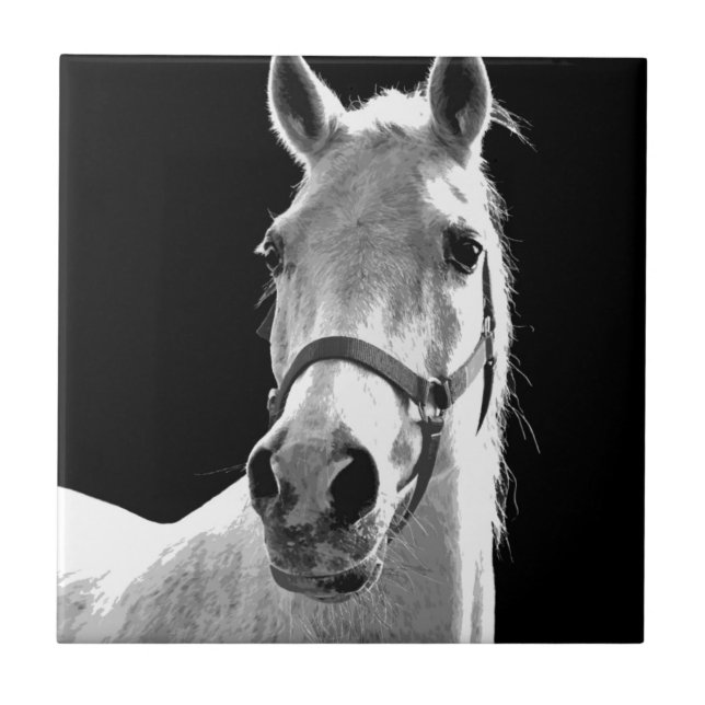 Azulejo De Cerâmica Cavalo Branco Negro Fechado na Noite (Frente)