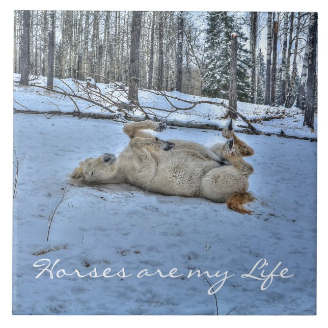 Azulejo De Cerâmica Cavalo Branco Rolando na neve do inverno (Frente)