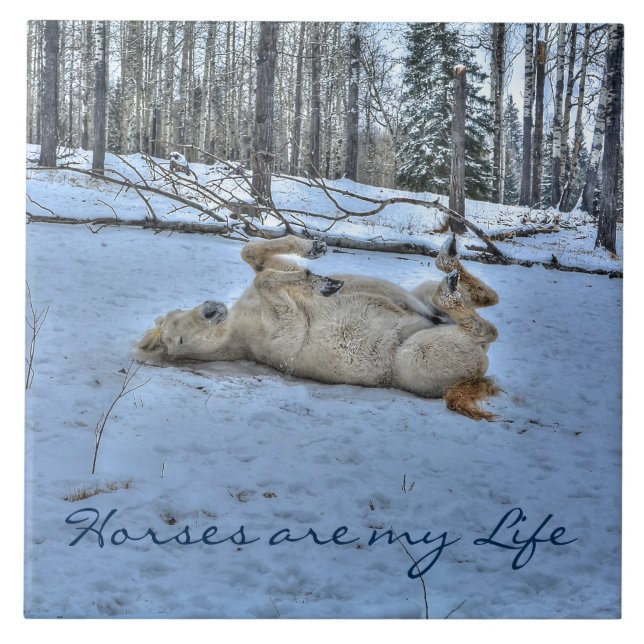 Azulejo De Cerâmica Cavalo Branco Rolando na neve do inverno (Frente)