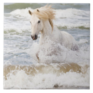 Azulejo De Cerâmica Cavalo Camargue nas Ondas
