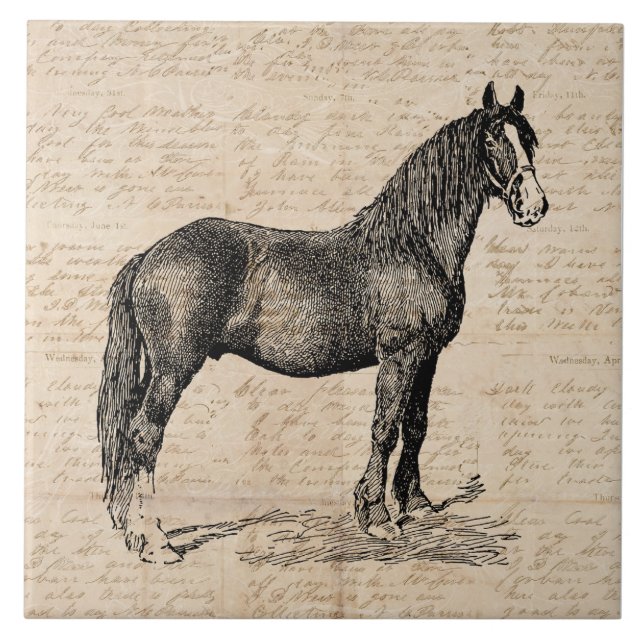 Azulejo De Cerâmica Cavalo com Papel Script (Frente)
