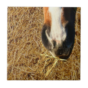 Azulejo De Cerâmica Cavalo Comendo Hay