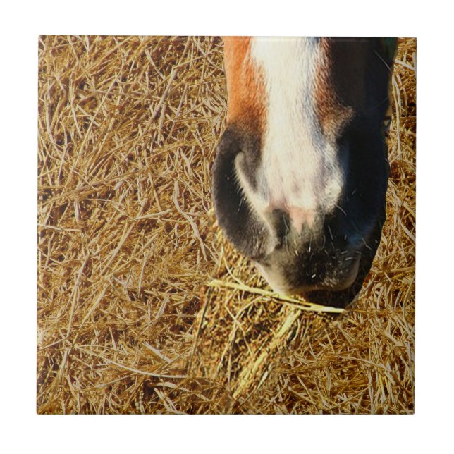 Azulejo De Cerâmica Cavalo Comendo Hay (Frente)