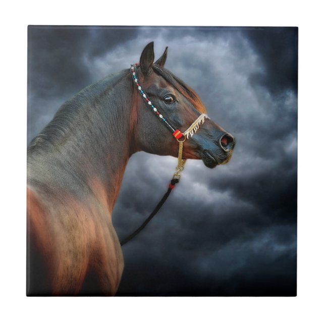 Azulejo De Cerâmica Cavalo da noite (Frente)