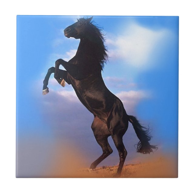 Azulejo De Cerâmica Cavalo de Criação (Frente)