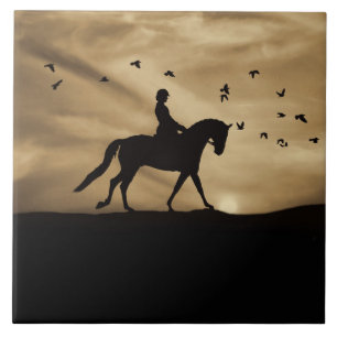 Azulejo De Cerâmica Cavalo de Dressage e Aranha-Bela-Aranha