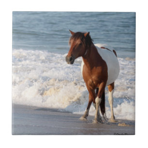 Azulejo De Cerâmica Cavalo de Praia Sunset