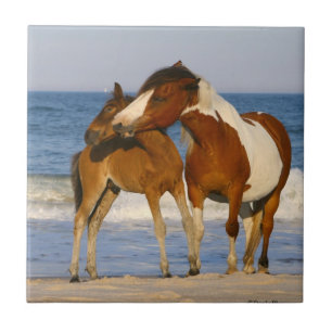Azulejo De Cerâmica Cavalo de Praia Sunset