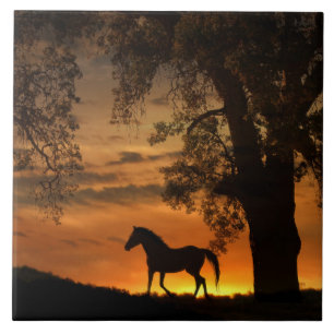 Azulejo De Cerâmica Cavalo de Trote bonito no nascer do Sol