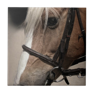 Azulejo De Cerâmica Cavalo do Palomino no freio