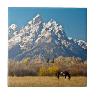 Azulejo De Cerâmica Cavalo e Grand Tetons, Moose Head Ranch