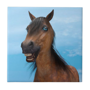 Azulejo De Cerâmica Cavalo Feliz
