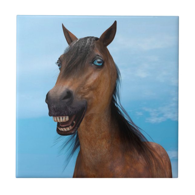 Azulejo De Cerâmica Cavalo Feliz (Frente)