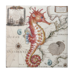 Azulejo De Cerâmica Cavalo marinho gasto