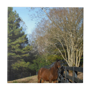 Azulejo De Cerâmica Cavalo Marrom Contra uma Cerca