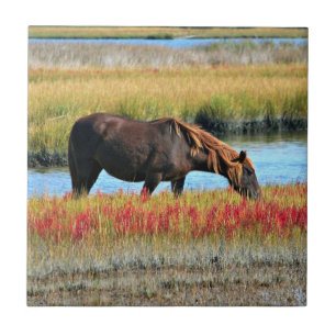Azulejo De Cerâmica Cavalo Marrom Pastando junto ao Prado Aquático