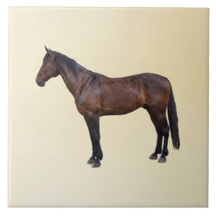 Azulejo De Cerâmica Cavalo Morgan de Perfil