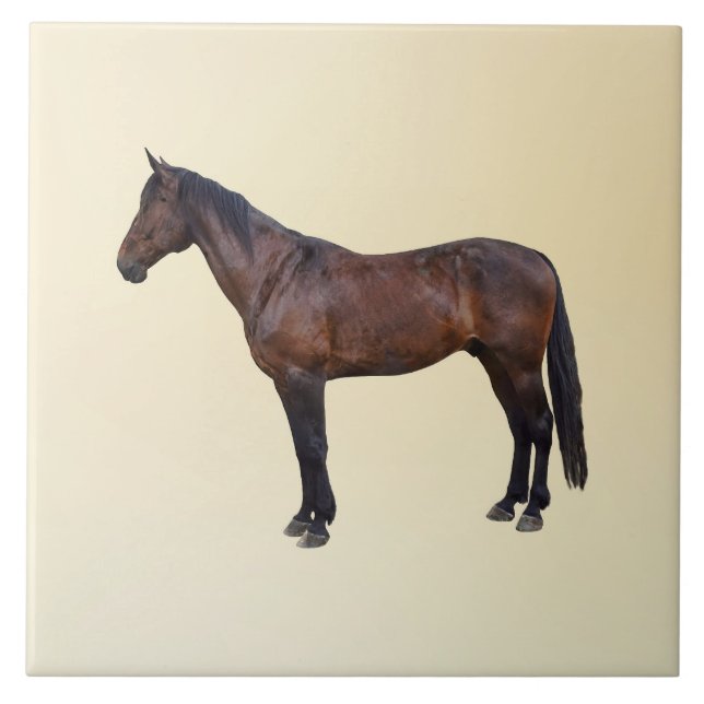 Azulejo De Cerâmica Cavalo Morgan de Perfil (Frente)