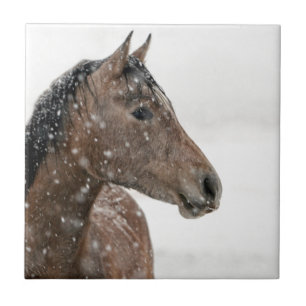 Azulejo De Cerâmica Cavalo na neve