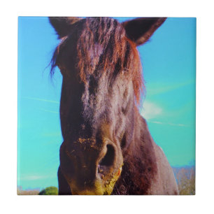 Azulejo De Cerâmica Cavalo Roxo com Boca Verde