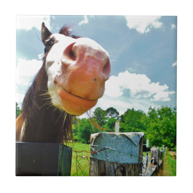 Azulejo De Cerâmica Cavalo Sorridente (Frente)